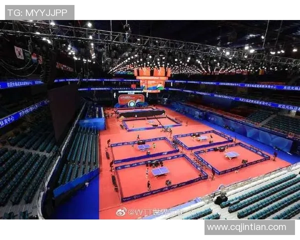 成都乒乓球队的训练节奏与赛事表现深度解析与展望