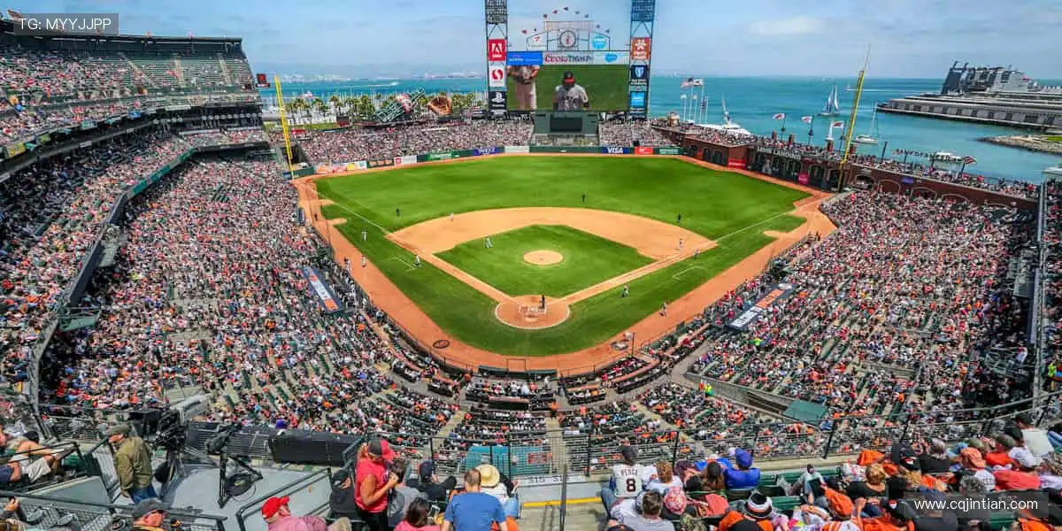 ⚽ 实时直播，超清画质，一键解锁你的专属赛事主场！